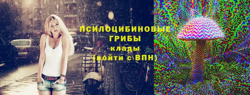 Галлюциногенные грибы Cubensis  Павловск 